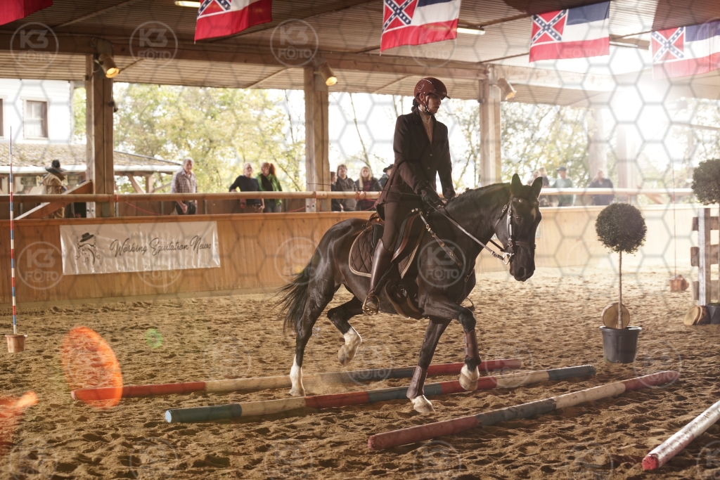 s_K3F08417.JPG